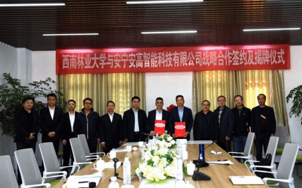 图片1 图片1